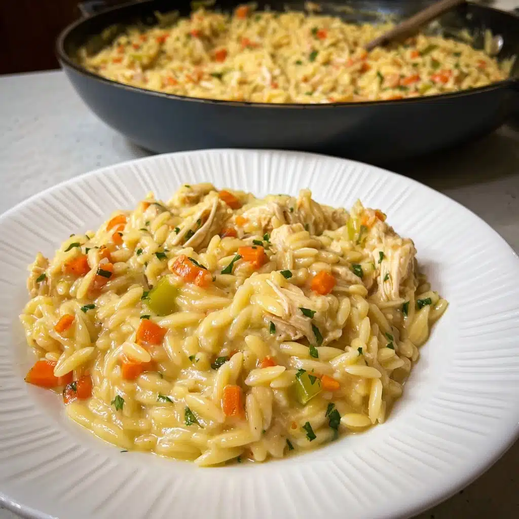 Creamy Chicken Pot Pie Orzo Recipe - Recipe Image