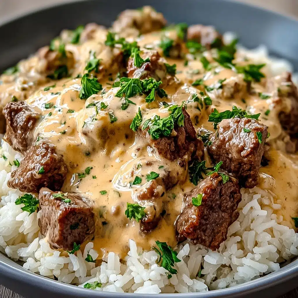 Steak Queso Rice Recipe
