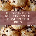Easy No-Bake Moose Farts Recipe