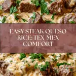 Steak Queso Rice Recipe