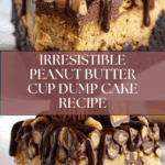 1 bowl peanut butter cup dump cake delight devours time Recipe