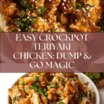 Dump and Go Crockpot Teriyaki Chicken Recipe