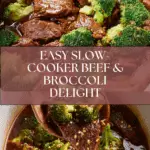Slow-Cooker Beef & Broccoli Recipe