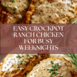 Easy Ranch Chicken Crockpot Recipe for Busy Nights Recipe