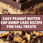 Peanut Butter Cup Dump Cake Recipe