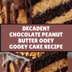 Heavenly Chocolate Peanut Butter Ooey Gooey Cake Recipe